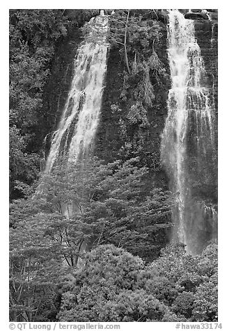 Opaekaa Falls. Kauai island, Hawaii, USA (black and white)