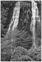 Opaekaa Falls. Kauai island, Hawaii, USA (black and white)