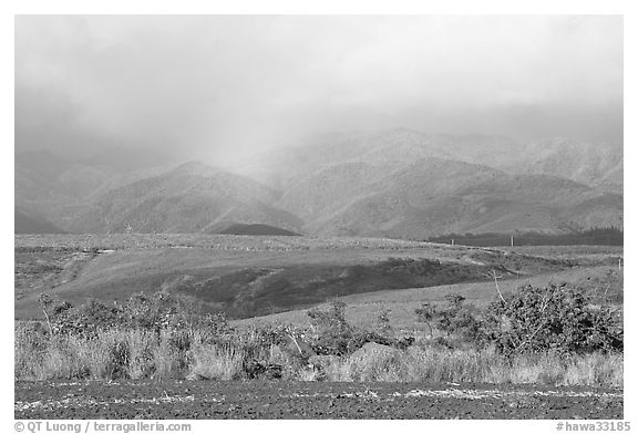 Field, hills, and rainbow. Kauai island, Hawaii, USA (black and white)