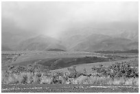 Field, hills, and rainbow. Kauai island, Hawaii, USA (black and white)