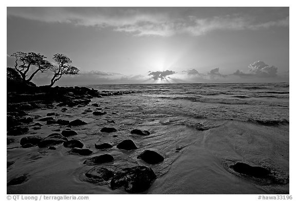 Windblown trees, boulders, and clouds, Lydgate Park, sunrise. Kauai island, Hawaii, USA (black and white)