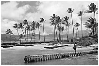 Pier, Kukuila harbor. Kauai island, Hawaii, USA ( black and white)