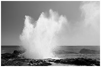 Spouting horn blowhole. Kauai island, Hawaii, USA ( black and white)