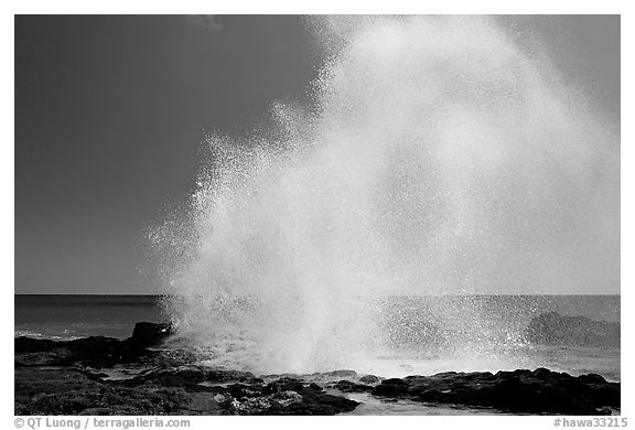 Stream of water shooting up from Spouting Horn. Kauai island, Hawaii, USA (black and white)