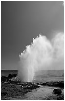 Stream of water shooting up from blowhole. Kauai island, Hawaii, USA ( black and white)