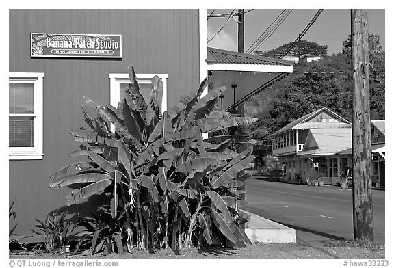 Side of a store building, Hanapepe. Kauai island, Hawaii, USA