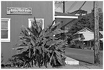 Side of a store building, Hanapepe. Kauai island, Hawaii, USA (black and white)