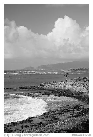 Coastline north of Kapaa, early morning. Kauai island, Hawaii, USA (black and white)