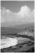 Coastline north of Kapaa, early morning. Kauai island, Hawaii, USA (black and white)