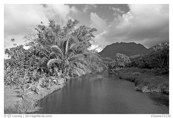 River near Hanalei. North shore, Kauai island, Hawaii, USA (black and white)