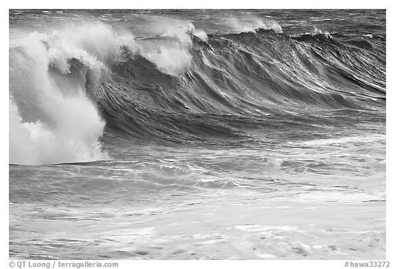 Blue wave. North shore, Kauai island, Hawaii, USA