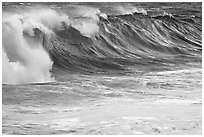 Blue wave. North shore, Kauai island, Hawaii, USA (black and white)