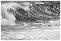 Blue wave. North shore, Kauai island, Hawaii, USA ( black and white)