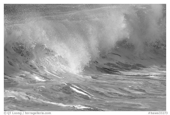 Breaking wave. North shore, Kauai island, Hawaii, USA (black and white)