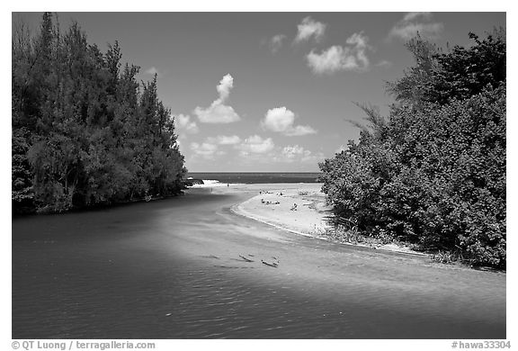 Stream and beach. North shore, Kauai island, Hawaii, USA (black and white)