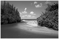Stream and beach. North shore, Kauai island, Hawaii, USA (black and white)