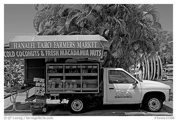 Pickup truck transformed into a fruit stand. Kauai island, Hawaii, USA (black and white)