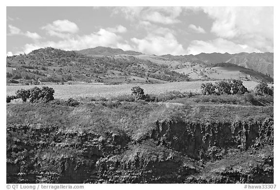 Cliff, field, and hills, Hanapepe overlook. Kauai island, Hawaii, USA (black and white)