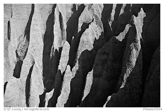 Aerial view of ridges, Na Pali Coast. Kauai island, Hawaii, USA (black and white)