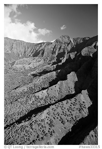 Aerial view of a valley, Na Pali Coast. Kauai island, Hawaii, USA (black and white)