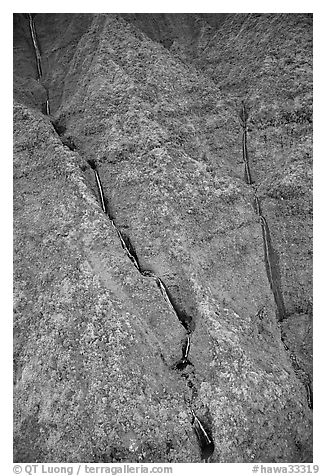 Aerial view of waterfalls on the slopes of Mt Waialeale. Kauai island, Hawaii, USA (black and white)