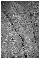 Aerial view of waterfalls on the slopes of Mt Waialeale. Kauai island, Hawaii, USA (black and white)