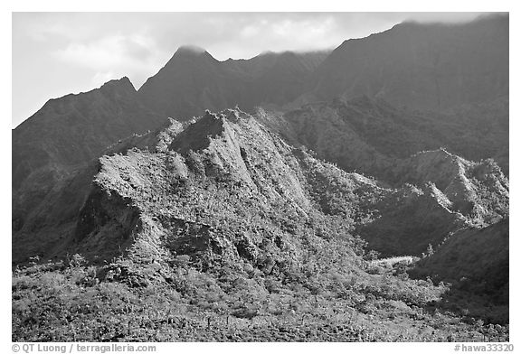 Aerial view of slopes of Mt Waialeale. Kauai island, Hawaii, USA (black and white)