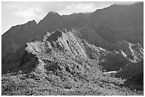 Aerial view of slopes of Mt Waialeale. Kauai island, Hawaii, USA (black and white)