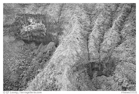 Aerial view of a crater on the slopes of Mt Waialeale. Kauai island, Hawaii, USA