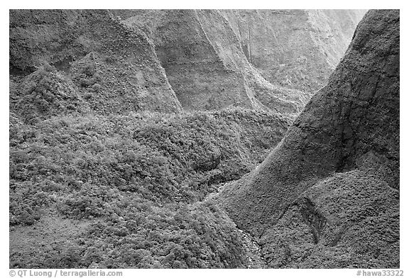 Aerial view of a valley on the slopes of Mt Waialeale. Kauai island, Hawaii, USA