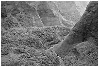 Aerial view of a valley on the slopes of Mt Waialeale. Kauai island, Hawaii, USA ( black and white)