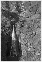 Aerial view of the Manawaiopuna falls (nicknamed Jurassic falls since featured in the movie). Kauai island, Hawaii, USA (black and white)