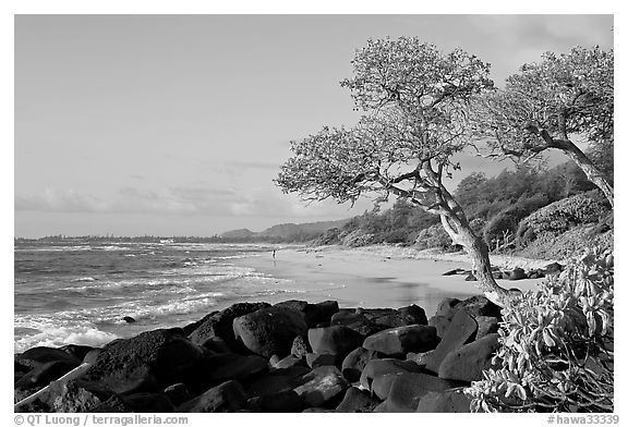 Boulders, trees, and beach, Lydgate Park, early morning. Kauai island, Hawaii, USA (black and white)