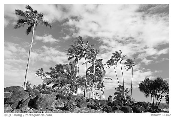 Rocks from a Heiau at the mounth of the Waiula River. Kauai island, Hawaii, USA