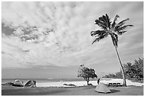 Tents and palm trees, Haena beach park. North shore, Kauai island, Hawaii, USA (black and white)