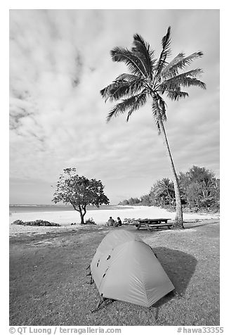 Tent and palm trees, Haena beach park. North shore, Kauai island, Hawaii, USA (black and white)