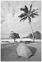 Tent and palm trees, Haena beach park. North shore, Kauai island, Hawaii, USA (black and white)