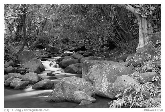 Stream, Haena beach park. North shore, Kauai island, Hawaii, USA