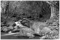 Stream, Haena beach park. North shore, Kauai island, Hawaii, USA ( black and white)