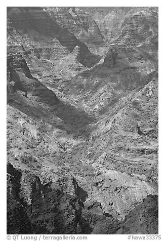 Shadows across Waimea Canyon, afternoon. Kauai island, Hawaii, USA