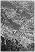 Shadows across Waimea Canyon, afternoon. Kauai island, Hawaii, USA ( black and white)