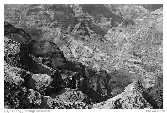 Waimea Canyon, afternoon. Kauai island, Hawaii, USA (black and white)