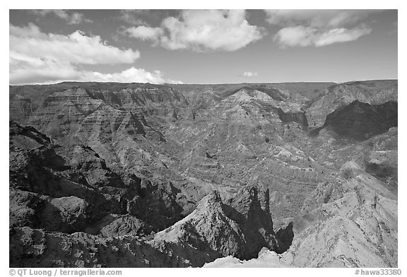 View from Waimea Canyon lookout, afternoon. Kauai island, Hawaii, USA (black and white)