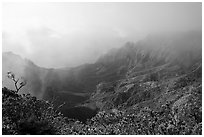 Kalalau Valley and mist, late afternoon. Kauai island, Hawaii, USA (black and white)