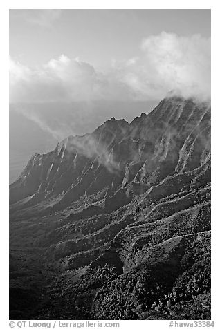 Lush Hills above Kalalau Valley and clouds, late afternoon. Kauai island, Hawaii, USA (black and white)