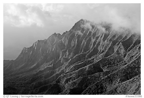 Lush Hills above Kalalau Valley, seen from the Pihea Trail, late afternoon. Kauai island, Hawaii, USA (black and white)