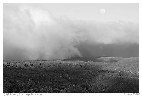 Alakai Swamp and clouds,  sunset. Kauai island, Hawaii, USA (black and white)