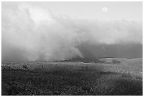 Alakai Swamp and clouds,  sunset. Kauai island, Hawaii, USA (black and white)