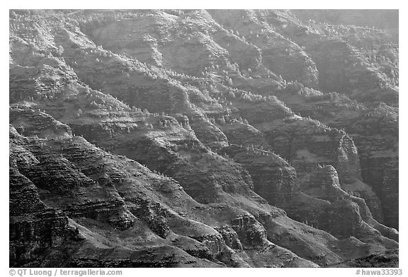 Ridges, lower Waimea Canyon, early morning. Kauai island, Hawaii, USA