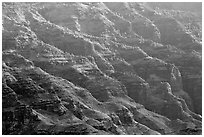 Ridges, lower Waimea Canyon, early morning. Kauai island, Hawaii, USA (black and white)